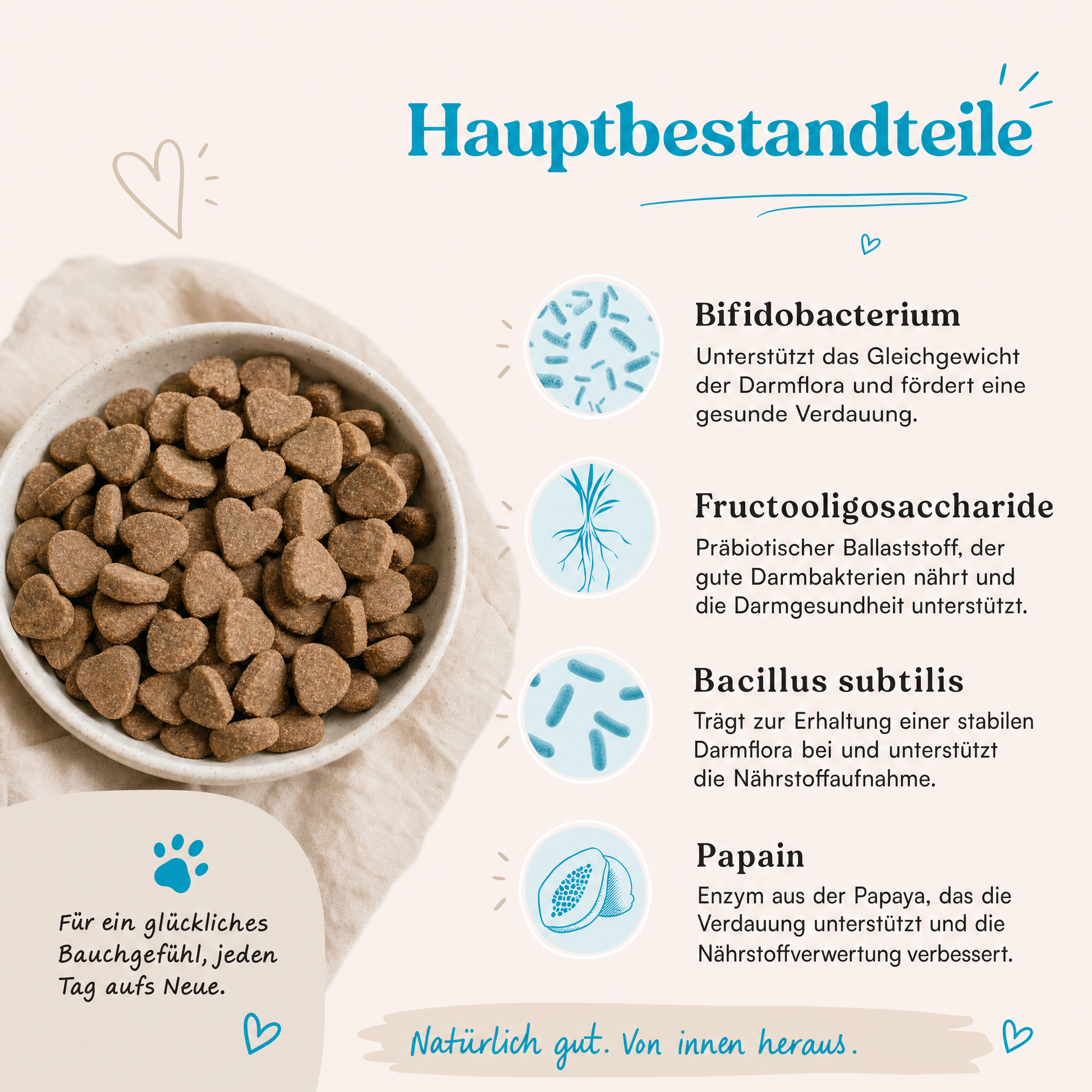 Probiotischer Kausnack